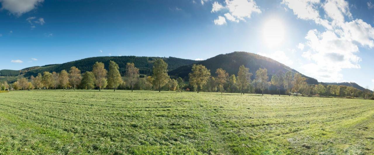 Ferienwohnung Saalhausen Sauerland لينهشتات المظهر الخارجي الصورة