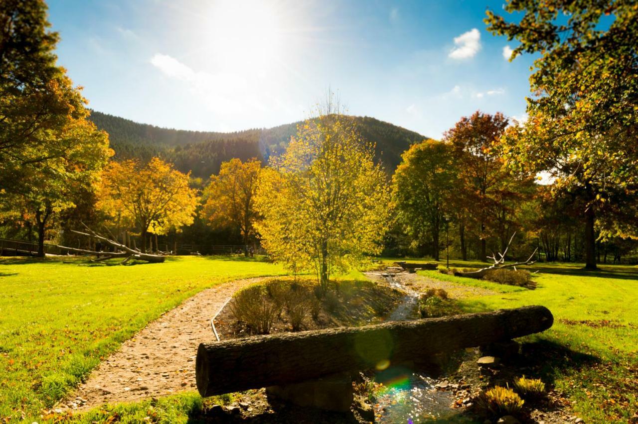 Ferienwohnung Saalhausen Sauerland لينهشتات المظهر الخارجي الصورة